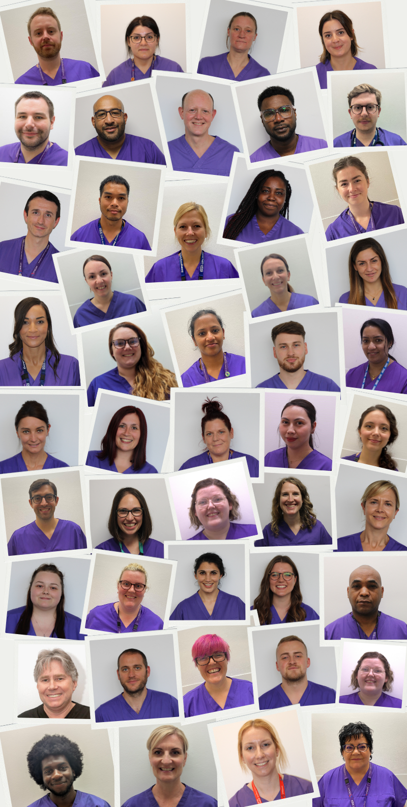 Meet the team collage image